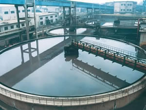 金钨工艺浸出率高